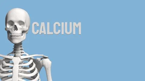 The Skeleton on blue Background for calcium concept 3d Rendering. Stock Photos