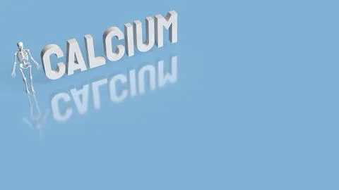The Skeleton on blue Background for calcium concept 3d Rendering. Stock Photos