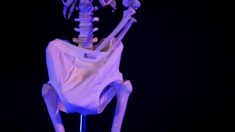 Skeleton in blue light on black background Stock Footage 95646744