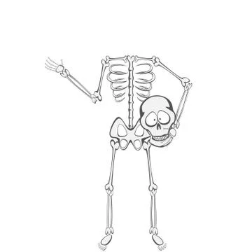 Skeleton Body イラスト素材