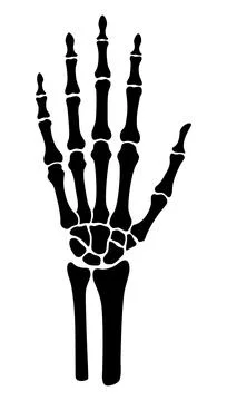Skeleton bone hand illustrations Stock Illustration