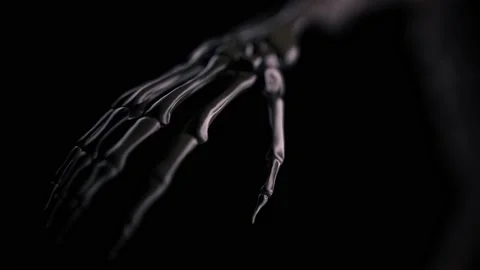 A Skeleton bones hands close up Stock Footage 155224289