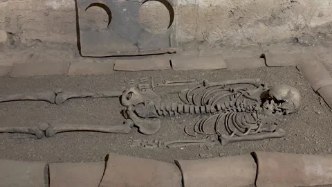 Skeleton bones on the sand. Stock Footage 307168019