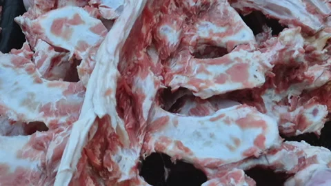 Skeleton of bones of a slaughtered animal Stock Footage 326335722