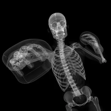 Skeleton boxing, artwork Stock Illustration