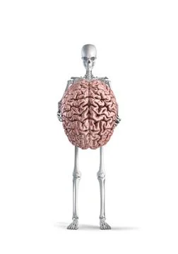 Skeleton with brain Stock Illustration