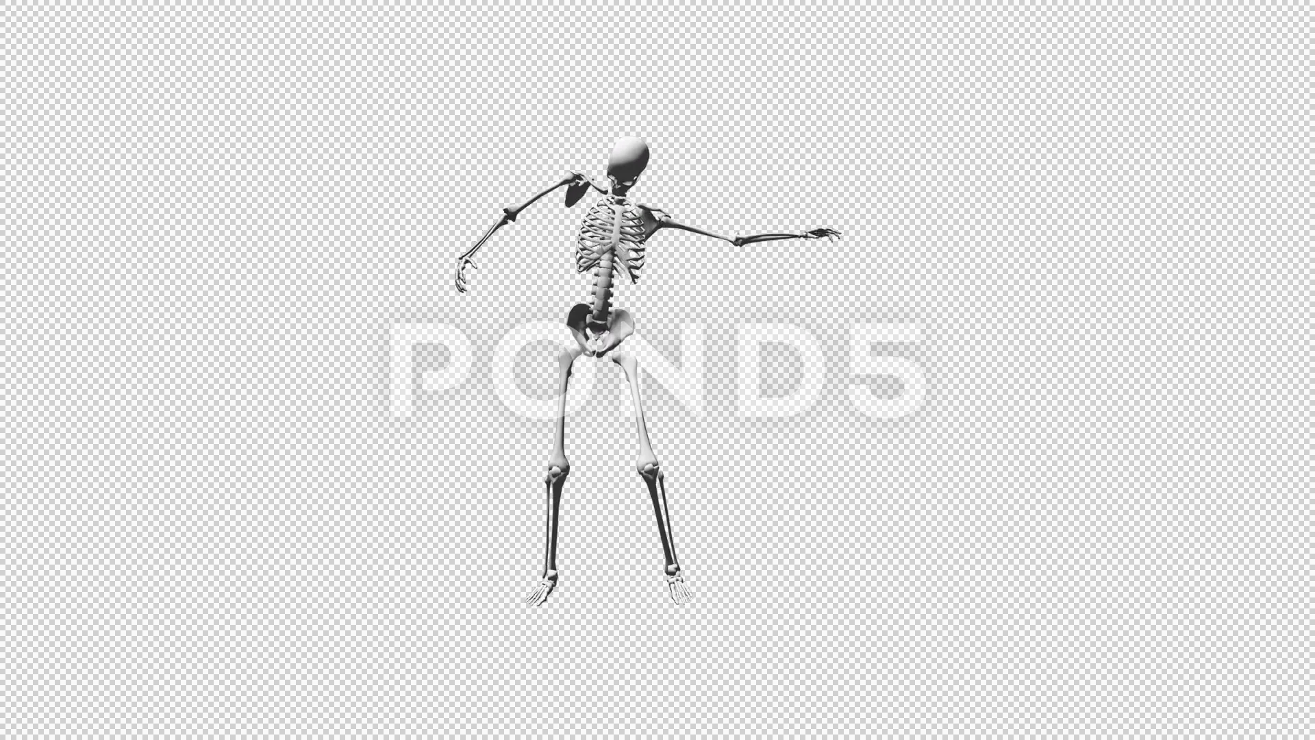 3D Dance Stock Video Footage | Royalty Free 3D Dance Videos | Pond5 3D Dance Stock Video Footage | Royalty Free 3D Dance Videos | Pond5