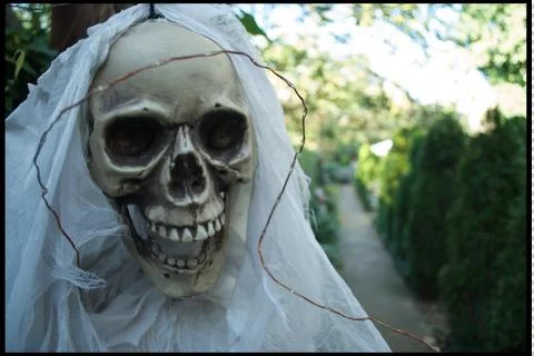 Skeleton bride Stock Photos