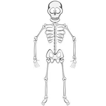 Skeleton Buddy Stock Illustration