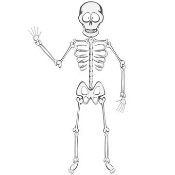 Skeleton Buddy Stock Illustration