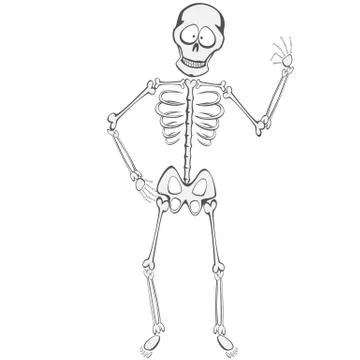 Skeleton Buddy Stock Illustration
