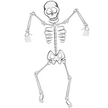 Skeleton Buddy Stock Illustration