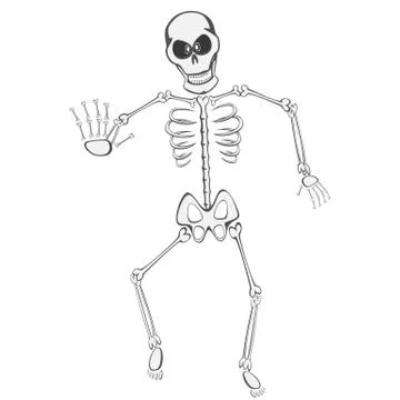 Skeleton Buddy Stock Illustration