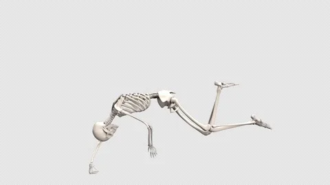 Skeleton can't die normally - 3d render looped with alpha channel. Stock Footage 167537578
