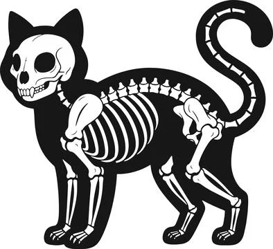 Skeleton cat, minimal simple vector illustration Stock Illustration