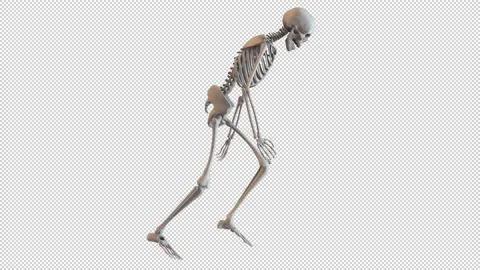 Skeleton Clumsy Walk Cycle Loop Stock-Footage 265086590