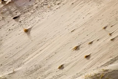 Skeleton Coast Stock Photos