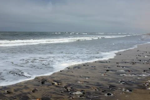 Skeleton Coast Stock Photos