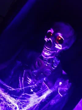 Skeleton in Coffin Stock Photos