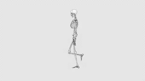 Skeleton Collapsing Alpha Stock Footage 278386029