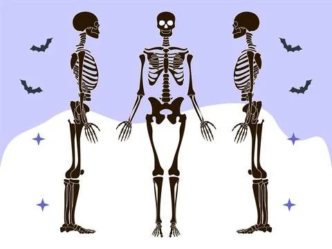 Skeleton Concept Illustration Style Stock Illustration