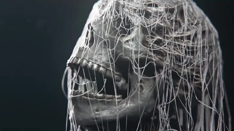 The skeleton is covered with cobwebs Stock Footage 292230254