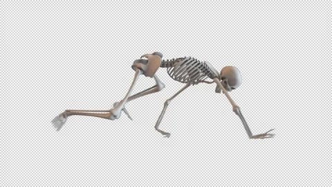 Skeleton Crawl Loop Stock Footage 265083387