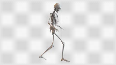 Skeleton Creeping Walk Cycle Loop Stock Footage 265086657