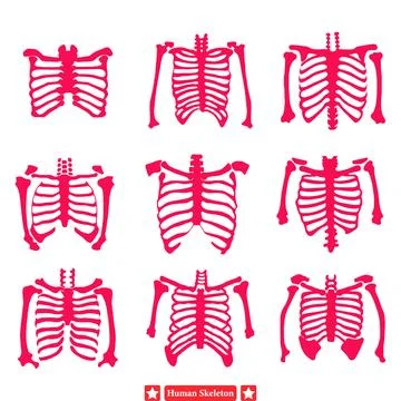 Skeleton Crew  Diverse Human Skeleton Vectors for T shirt Printing Stock Illustration