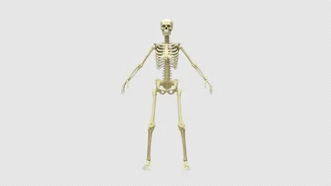 Skeleton Daemon rotates 360 degrees. Video stock 232913317