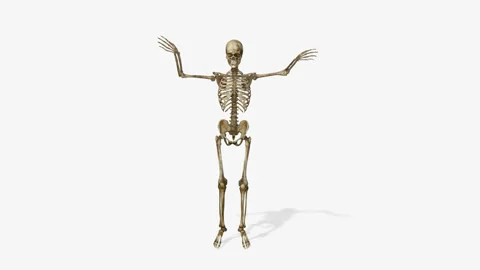Skeleton dance gatna style, loop,animation,transparent background Stock Footage 91833945