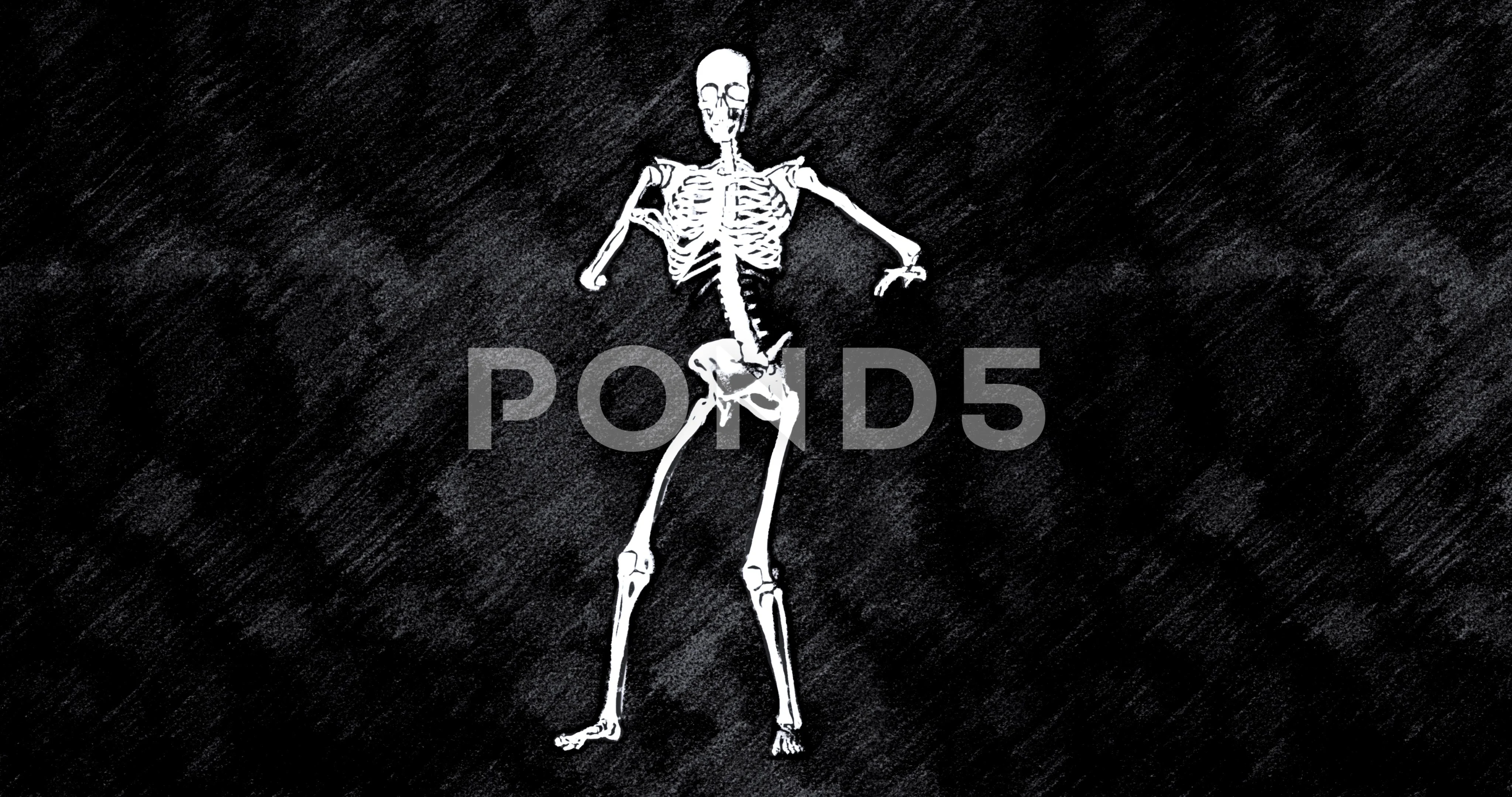 Skeleton Dance Sketch Cartoon Animation | Stock Video | Pond5 Skeleton Dance Sketch Cartoon Animation | Stock Video | Pond5