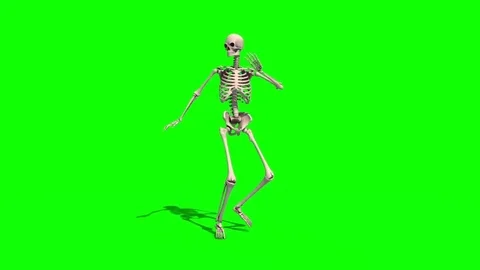 Skeleton Dancer Samba Green Screen 3D Rendering Animation Stock Footage 83012014