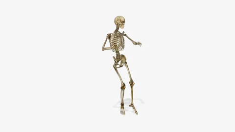 skeleton dances breakdance, loop,animati... | Stock Video | Pond5