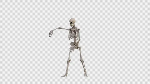 Skeleton Dancing Stock Footage 341960387