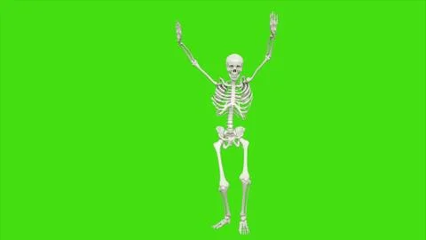 Skeleton dancing on green screen. 3D rendering Stock Illustration