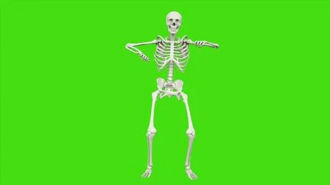 Skeleton dancing on green screen. 3D rendering Stock Illustration