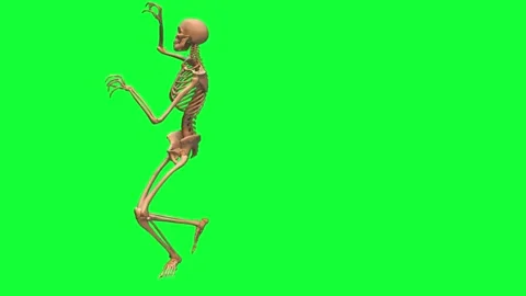 A skeleton dancing on a green screen Video stock 322178589