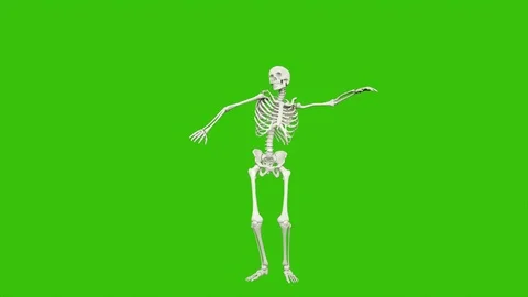 Skeleton dancing. Seamless loop animation on green screen. Stock Footage 96661287