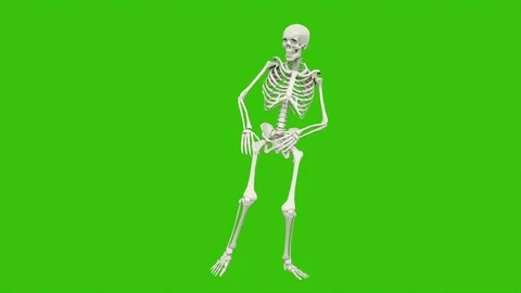 Skeleton dancing. Seamless loop animation on green screen. Stock Footage 97059936