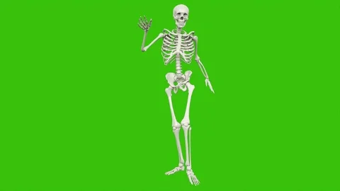 Skeleton dancing. Seamless loop animation on green screen. Stock Footage 97061302