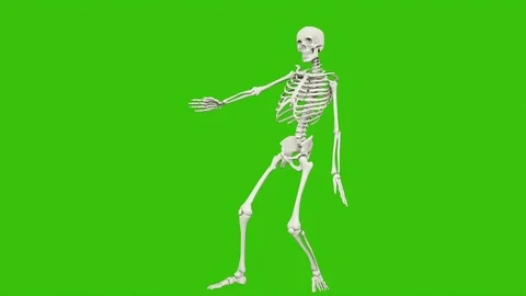 Skeleton dancing. Seamless loop animation on green screen. Stock Footage 97233248