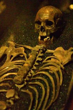 Skeleton in the Dark Stock Photos