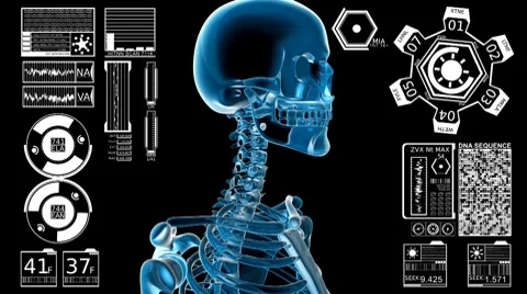 Skeleton + Data (HD+Loop) 스톡 동영상 8663304
