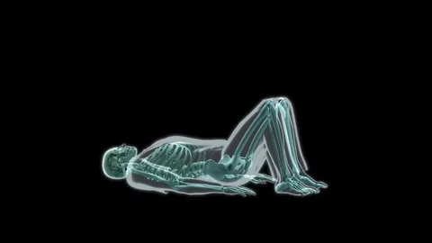 Skeleton Dead Bug Core Exercise Side View Overlay Stock Footage 335878141