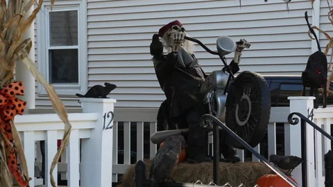 SKELETON DECORATION Stock Footage 186716968