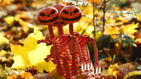 Skeleton Decoration with maple yellow leaf in hand on autumn sunny forest Stock Footage 309812512