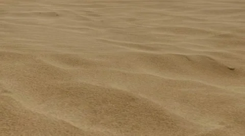 Skeleton in the Desert Stock Footage 32478153