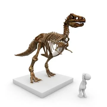 The skeleton of a dinosaur Stock Illustration