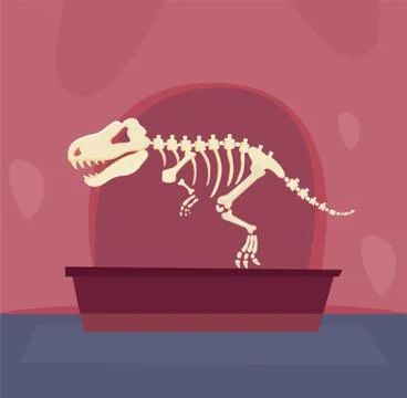 The skeleton of a dinosaur stands in a museum Stock Illustration